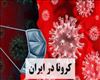 اگر کرونا آن‌ها را نکشد، فقر و بی‌پناهی می‌کشد